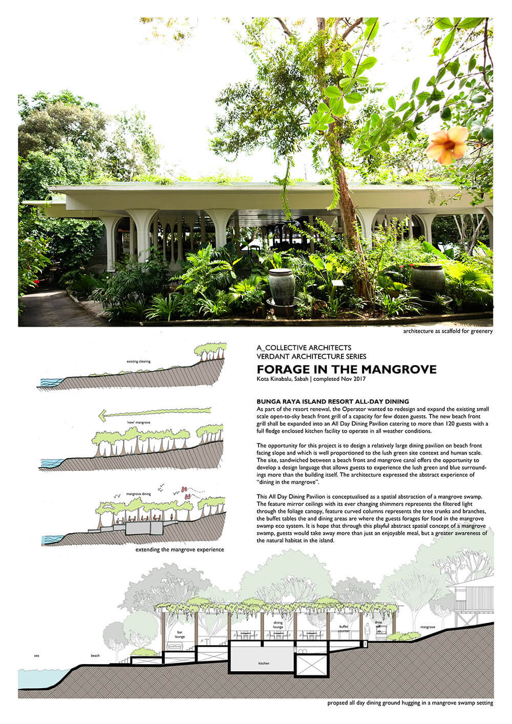 Forage in the Mangrove 1/5