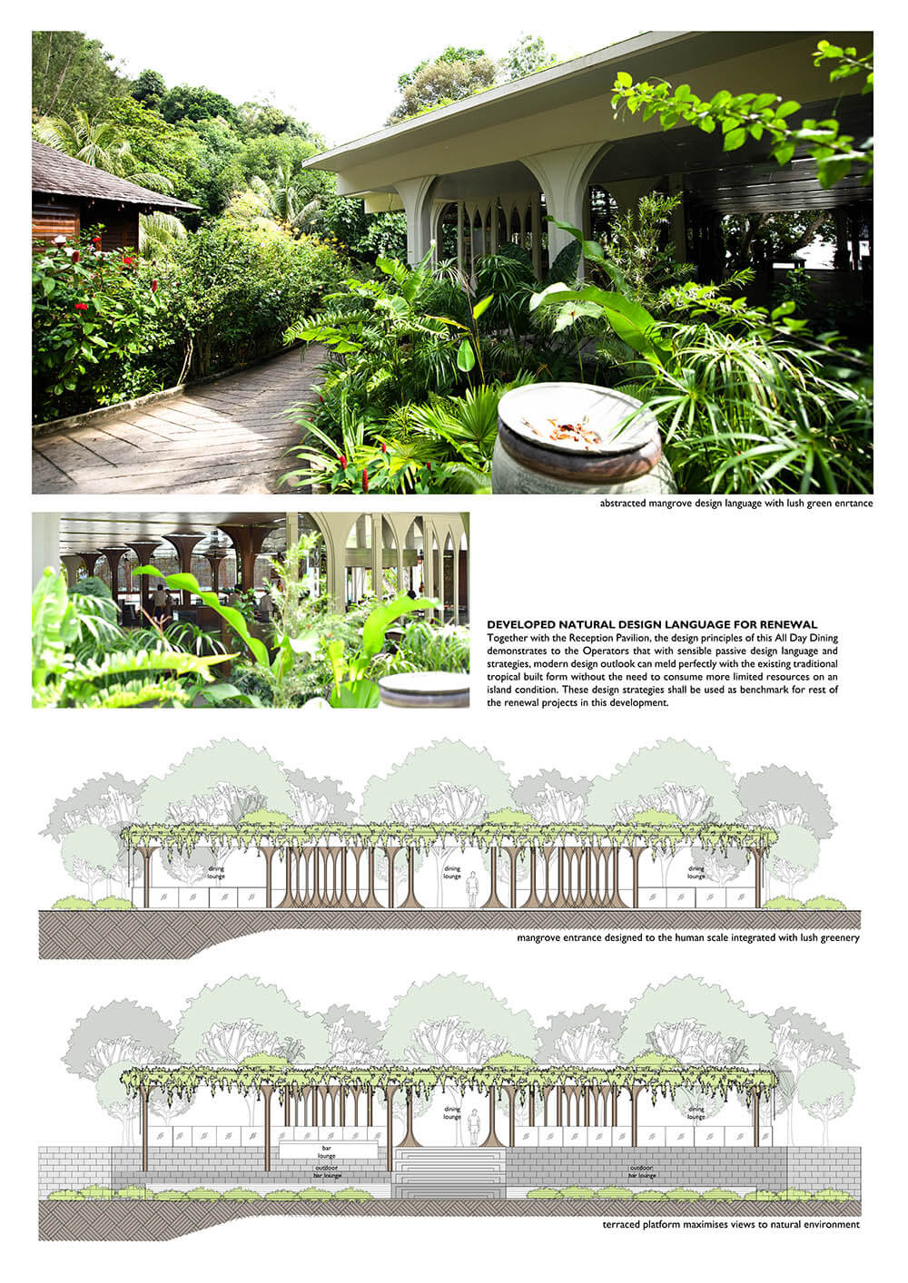 Forage in the Mangrove 3/5