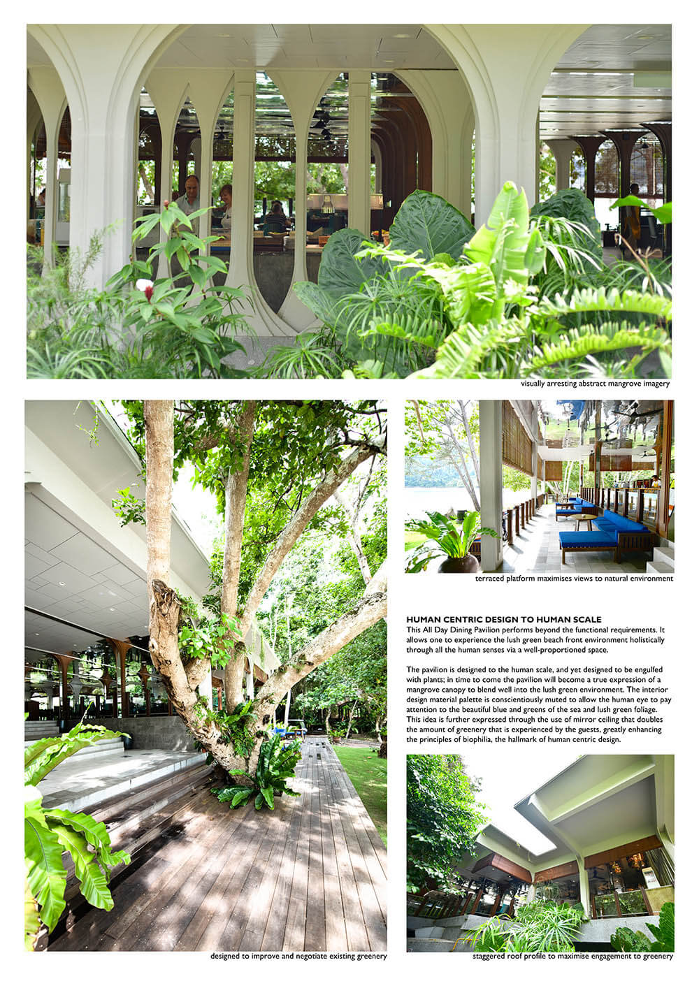 Forage in the Mangrove 4/5