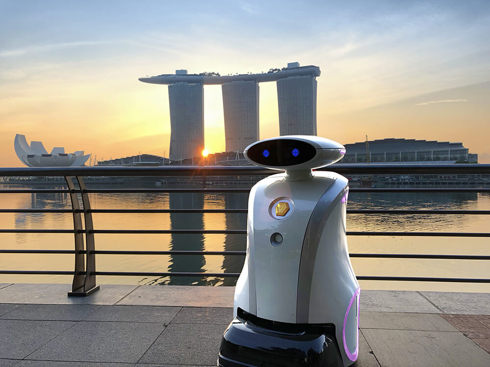 Leobot Scrub/Lionsbot 1/5