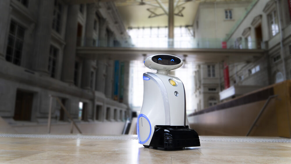 Leobot Scrub/Lionsbot 2/5