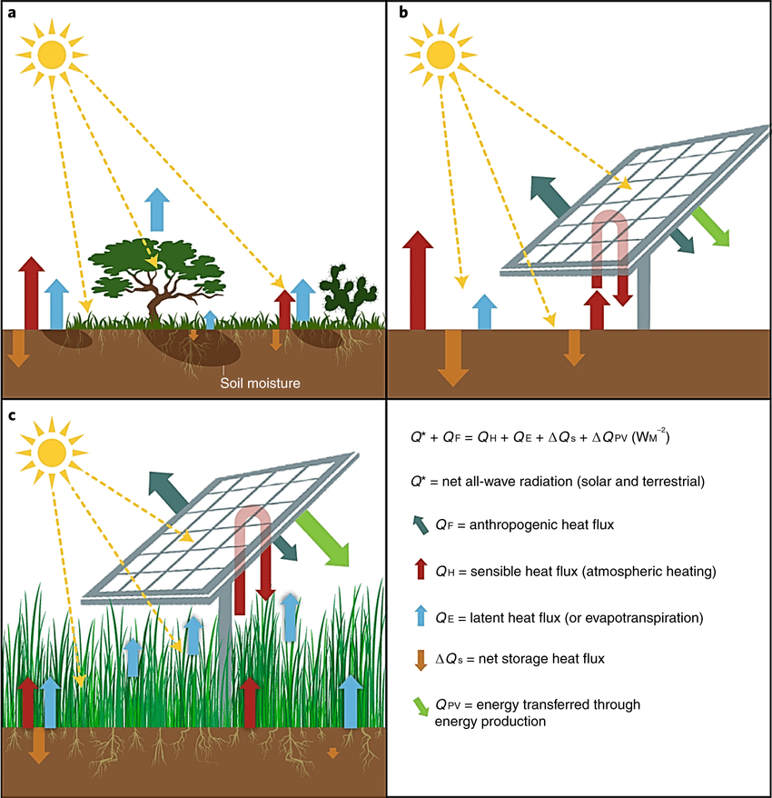 Agrivoltaics Tourism of Fruit/Veg Garden on roof top
